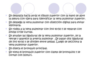    Se desplaza hacia atrás el lóbulo superior con la mano se abre
    la pleura con tijera para identificar la vena pulmonar superior.
   Se despega la vena pulmonar con disección digital para evitar
    lesionarla.
   Se rodea a la vena pulmonar con lino 40-50 y se reparan con
    pinzas crille curvas.
   Se anudan las ligaduras de la vena pulmonar superior, se la
    retrae y aparece la arteria pulmonar . Se pasan dos ligaduras
    de lino 40-50 y se dividen entre ambas. Luego se secciona la
    vena pulmonar superior.
   Se diseca el bronquio principal.
   Se toma el bronquio superior con clamp de bronquios y se
    cortan con bisturí.
 