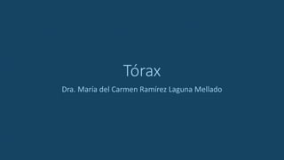 Tórax
Dra. María del Carmen Ramírez Laguna Mellado
 