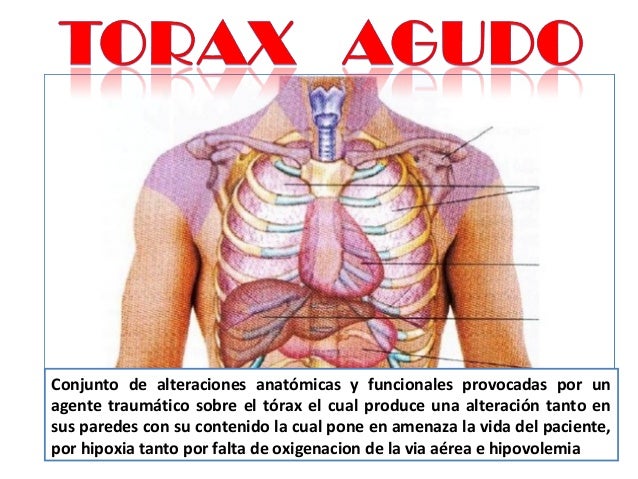 El dolor vivo en los riñones los síntomas