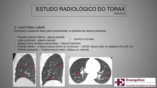 ESTUDO RADIOLÓGICO DO TORAX
(AULA 2)
3 – ANATOMIA LOBAR
Conhecer a anatomia lobar para compreender os padrões de doença pulmonar.
- Parede torácica interna – pleura parietal
- Lobo pulmonar – pleura visceral
- Espaço entre os lobos pulmonares – cissura interlobar
- Pulmão direito – 3 lobos (cisura menor ou horizontal – LS/LM; cisura maior ou obliqua LS e LM / LI)
- Pulmão esquerdo – 2 lobos (cisura maior, obliqua ou vertical)
ESPAÇO PLEURAL
 