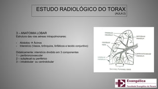 ESTUDO RADIOLÓGICO DO TORAX
(AULA 2)
3 – ANATOMIA LOBAR
Estrutura das vias aéreas intrapulmonares:
- Alvéolos  Ácinos
- Interstício (Vasos, brônquios, linfáticos e tecido conjuntivo)
Didaticamente: interstício dividido em 3 componentes
1 – peribroncovascular
2 – subpleual ou periférico
3 – intralobular ou centrolobular
 