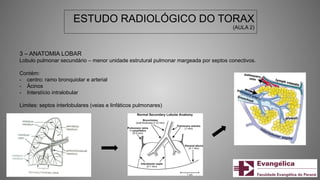 ESTUDO RADIOLÓGICO DO TORAX
(AULA 2)
3 – ANATOMIA LOBAR
Lobulo pulmonar secundário – menor unidade estrutural pulmonar margeada por septos conectivos.
Contém:
- centro: ramo bronquiolar e arterial
- Ácinos
- Interstício intralobular
Limites: septos interlobulares (veias e linfáticos pulmonares)
 