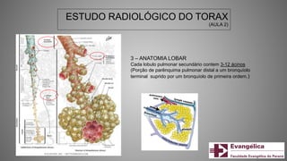 ESTUDO RADIOLÓGICO DO TORAX
(AULA 2)
3 – ANATOMIA LOBAR
Cada lobulo pulmonar secundário contem 3-12 ácinos
(Porção de parênquima pulmonar distal a um bronquíolo
terminal suprido por um bronquíolo de primeira ordem.)
 