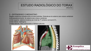 ESTUDO RADIOLÓGICO DO TORAX
(AULA 2)
5 – ENTENDENDO O MEDIASTINO:
Região anatômica situada entre os dois pulmões. Estende-se do esterno aos corpos vertebrais
Anteroposteriormente: do esterno aos corpos vertebrais
Limite superior: abertura torácica ao nível da 7ª vertebra cervical (C7),
Limite inferior: diafragma
Limites laterais: hilos pulmonares e folhetos pleurais.
 