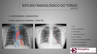 1- VCS
2- AORTA ASCENDENTE
3- ATRIO DIREITO
4- V. BRAQUIOCEFÁLICA
5- ARCO AÓRTICO
6- TRONCO DA ARTÉRIA PULMONAR
7- VENTRÍCULO ESQUERDO
8- ÂNGULO CARDIOFRENICO
5 – ENTENDENDO O MEDIASTINO:
Llimites externos do mediastino (Tórax PA)
ESTUDO RADIOLÓGICO DO TORAX
(AULA 2)
 