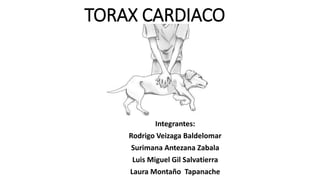 TORAX CARDIACO
Integrantes:
Rodrigo Veizaga Baldelomar
Surimana Antezana Zabala
Luis Miguel Gil Salvatierra
Laura Montaño Tapanache
 