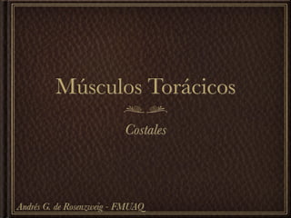 Músculos Torácicos
                          Costales




Andrés G. de Rosenzweig - FMUAQ
 
