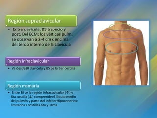 Región supraclavicular
• Entre clavícula, BS trapecio y
  post. Del ECM; los vértices pulm.
  se observan a 2-4 cm x encima
  del tercio interno de la clavícula


Región infraclavicular
• Va desde BI clavícula y BS de la 3er costilla



Región mamaria
• Entre BI de la región infraclavicular (↑) y
  6ta costilla (↓) comprende el lóbulo medio
  del pulmón y parte del inferiorHipocondrios:
  limitados x costillas 6ta y 10ma
 