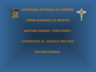 UNIVERSIDAD AUTONOMA DE GUERRERO
UNIDAD ACADEMICA DE MEDICINA
ANATOMIA HUMANA Y DISECCIONES I
CATEDRATICO: Dr. GONZALO CRUZ DIAZ
CIRUJANO GENERAL
 