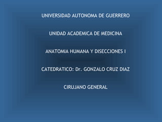 UNIVERSIDAD AUTONOMA DE GUERRERO
UNIDAD ACADEMICA DE MEDICINA
ANATOMIA HUMANA Y DISECCIONES I
CATEDRATICO: Dr. GONZALO CRUZ DIAZ
CIRUJANO GENERAL
 