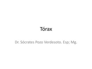 Tórax
Dr. Sócrates Pozo Verdesoto. Esp; Mg.
 