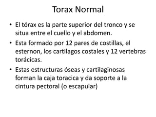 Torax Normal El tóraxes la parte superior del tronco y se situa entre el cuello y el abdomen. Estaformadopor 12 pares de costillas, el esternon, los cartilagos costales y 12 vertebras  torácicas. Estasestructurasóseas y cartilaginosas forman la caja toracica y dasoporte a la cintura pectoral (o escapular) 
