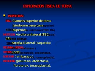 Rod Gyug TORAX SEMIO .pptx gyug | PPTX