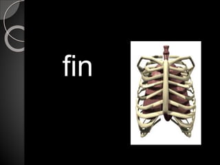 fin
 