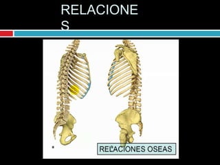 RELACIONE
S
 