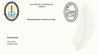 UNIVERSIDAD AUTÓNOMA DEL
CARMEN
INTEGRANTES:
Jose García.
Jonatan ojeda.
IRRIGACIÓN VENOSA Y ARTERIAL DEL TÓRAX.
 