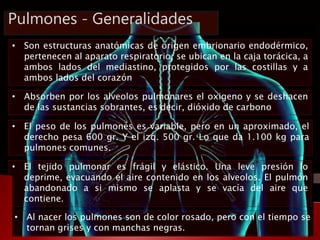 Pulmones - Generalidades 
• Son estructuras anatómicas de origen embrionario endodérmico, 
pertenecen al aparato respirato...