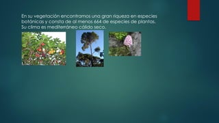 En su vegetación encontramos una gran riqueza en especies
botánicas y consta de al menos 664 de especies de plantas.
Su clima es mediterráneo cálido seco.
 