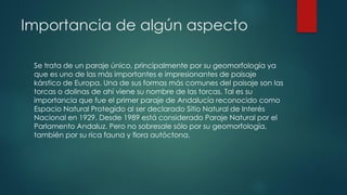 Importancia de algún aspecto
Se trata de un paraje único, principalmente por su geomorfología ya
que es uno de las más importantes e impresionantes de paisaje
kárstico de Europa. Una de sus formas más comunes del paisaje son las
torcas o dolinas de ahí viene su nombre de las torcas. Tal es su
importancia que fue el primer paraje de Andalucía reconocido como
Espacio Natural Protegido al ser declarado Sitio Natural de Interés
Nacional en 1929. Desde 1989 está considerado Paraje Natural por el
Parlamento Andaluz. Pero no sobresale sólo por su geomorfología,
también por su rica fauna y flora autóctona.
 