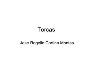 Torcas  Jose Rogelio Cortina Montes 