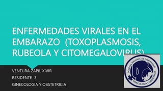 ENFERMEDADES VIRALES EN EL
EMBARAZO (TOXOPLASMOSIS,
RUBEOLA Y CITOMEGALOVIRUS)
VENTURA ZAPIL XIVIR
RESIDENTE 3
GINECOLOGIA Y OBSTETRICIA
 