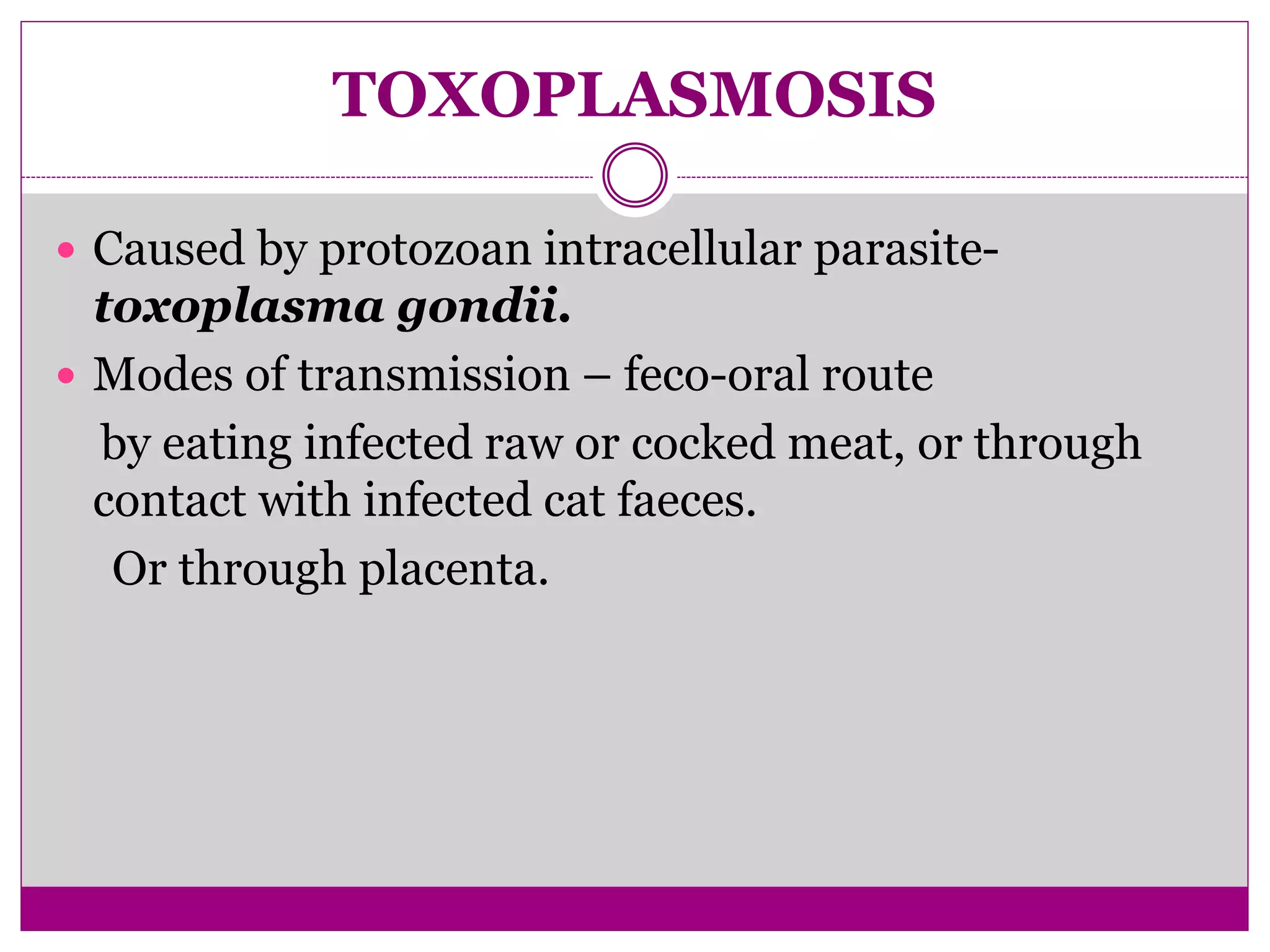 Torch infection in pregnancy PPT