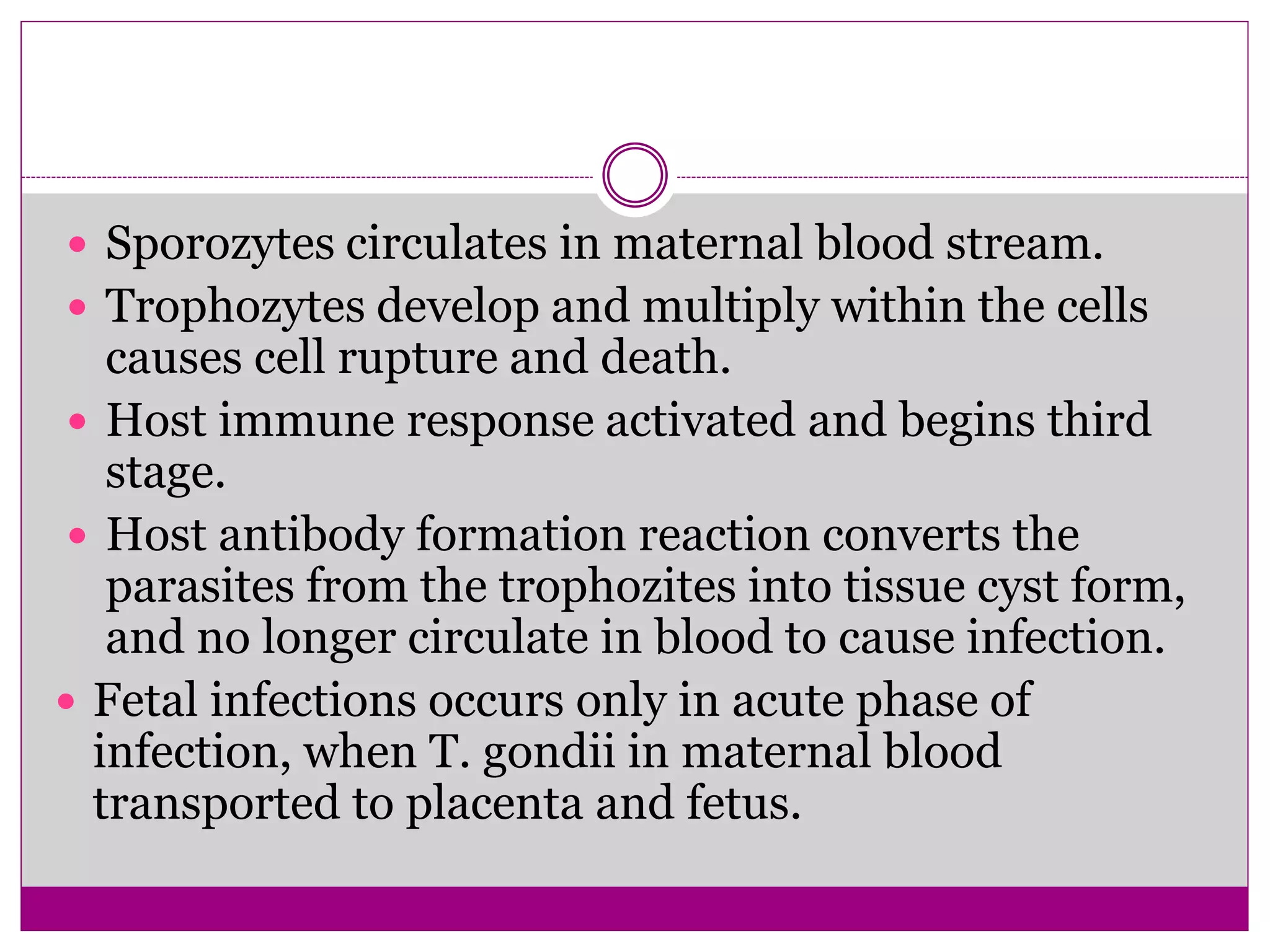 Torch infection in pregnancy PPT