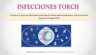 TORCH | PPTX