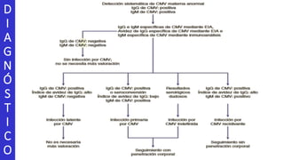 D
I
A
G
N
Ó
S
T
I
C
O
 