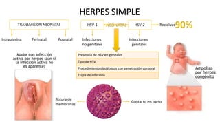 HERPES SIMPLE
HSV-1 HSV-2
Infecciones
no genitales
Infecciones
genitales
RecidivasTRANSMISIÓN NEONATAL
Intrauterina Perinatal Posnatal
Rotura de
membranas
Contacto en parto
Presencia de HSV en genitales
Tipo de HSV
Procedimiento obstétricos con penetración corporal
Etapa de infección
 
