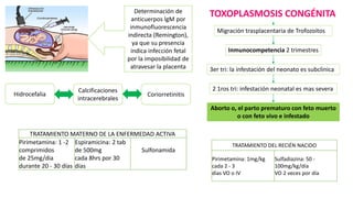 Determinación de
anticuerpos lgM por
inmunofluorescencia
indirecta (Remington),
ya que su presencia
indica infección fetal
por la imposibilidad de
atravesar la placenta
TOXOPLASMOSIS CONGÉNITA
Migración trasplacentaria de Trofozoitos
Inmunocompetencia 2 trimestres
3er tri: la infestación del neonato es subclinica
2 1ros tri: infestación neonatal es mas severa
Aborto o, el parto prematuro con feto muerto
o con feto vivo e infestado
Hidrocefalia Coriorretinitis
Calcificaciones
intracerebrales
TRATAMIENTO MATERNO DE LA ENFERMEDAD ACTIVA
Pirimetamina: 1 -2
comprimidos
de 25mg/dia
durante 20 - 30 días
Espiramicina: 2 tab
de 500mg
cada 8hrs por 30
días
Sulfonamida
TRATAMIENTO DEL RECIÉN NACIDO
Pirimetamina: 1mg/kg
cada 2 - 3
días VO o IV
Sulfadiazina: 50 -
100mg/kg/día
VO 2 veces por día
 