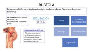 RUBÉOLA
Enfermedad infectocontagiosa de origen viral causada por Togavirus de género
Rubivirus.
1er trimestre: causa directa
de aborto y de
malformaciones congénitas
graves.
Fiebre
Exantema
maculopapuloso
Artralgia Linfadenopatías
Conjuntivitis
INCUBACIÓN
12 – 13 días
Alteraciones oculares,
sordera de percepción,
afecciones cardíacas
congénitas, microcefalia,
retardo psicomotor.
EMBRIOPATÍA RUBEÓLICA
 