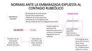 NORMAS ANTE LA EMBARAZADA EXPUESTA AL
CONTAGIO RUBEÓLICO
ANAMNESIS
VACUNAS
Neutralización de anticuerpos
Fijación del complemento
Inhibición de la hemadsorción
Inhibición de la hemaglutinación
Test de inhibición de la hemaglutinación (IHA)
INCUBACIÓN 15 días
Titulación de los
anticuerpos
existentes por
dilución del suero
2da prueba es
mas alta (1 :10),
indica actividad
del proceso
CONDUCTA
Seroprevención
Puede impedir la
aparición del
exantema, pero no la
viremia ni la probable
llegada del virus al
embrión
Gammaglobulina
específica
hiperinmune a
razón de 0,2 ml/kg
0,4 ml/kg de peso
(unos 30 mi) como
dosis inicial,
continuando con
O, 1 ml/kg de peso
cada 4 se- manas
 