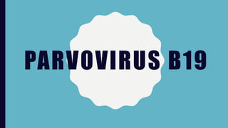PARVOVIRUS B19
 