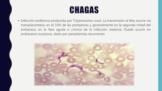 CHAGAS
• Infección endémica producida por Tripanozoma cruzii. La transmisión al feto ocurre vía
transplacentaria, en el 10% de las portadoras y generalmente en la segunda mitad del
embarazo, en la fase aguda o crónica de la infección materna. Puede ocurrir en
embarazos sucesivos, dado por parasitemias recurrentes
 