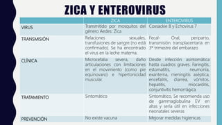 ZICA Y ENTEROVIRUS
ZICA ENTEROVIRUS
VIRUS Transmitido por mosquitos del
género Aedes: Zica
Coxsackie B y Echovirus 7
TRANSMISIÓN Relaciones sexuales,
transfusiones de sangre (no está
confirmado). Se ha encontrado
el virus en la leche materna.
Fecal- Oral, periparto,
transmisión transplacentaria en
3º trimestre del embarazo
CLÍNICA Microcefalia severa, daño
articulaciones con limitaciones
en el movimiento (como pie
equinovaro) e hipertonicidad
muscular.
Desde infección asintomática
hasta cuadros graves. Faringitis,
estomatitis, neumonía,
exantema, meningitis aséptica,
encefalitis, diarrea, vómitos,
hepatitis, miocarditis,
conjuntivitis hemorrágica
TRATAMIENTO Sintomático Sintomático, Se recomienda uso
de gammaglobulina EV en
altas y sería útil en infecciones
neonatales severas
PREVENCIÓN No existe vacuna Mejorar medidas higienicas
 