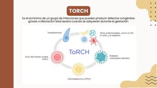 TORCH toxoplasmosis, rubeola, citomegalovirus, herpes | PDF