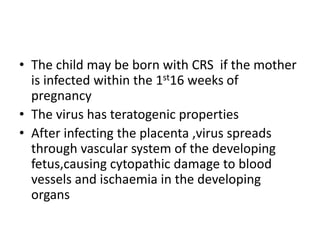 Congenital rubella syndrome
CRS characterized by;
Intrauterine growth restriction
Intracranial calcifications
Microceph...