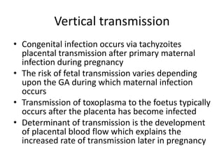 Vertical transmission
• Congenital infection occurs via tachyzoites
placental transmission after primary maternal
infectio...