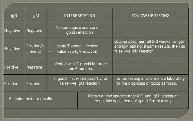 Signs Of Low Transmission Fluid >> Torch complex PART-1 Signs Of Low Transmission Fluid >> Torch complex PART-1