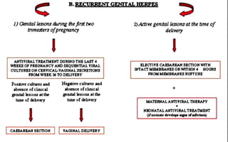 o d e o f c l e t i v e r y i n c o s e o f p r i m a r y H S V i n f e c t i o n n n d r e c u n c u t : g e o i l : n l
h e r p e s
J . ) O e r u u u d u r i n g r h • f l r : n
.<>vo
' 1 1 C 3 C c r 3 o f p r . : : g n a n c y
I
2 . ) , A c t : / v • e•n...u,z_lbl c : > T U ' d u T V ' i g - - 4-<S
q ; r p n e g n a n c y
'' - 1 1 1 1 " _ , , . . I A I - - V I R A L C U L T t l • llf!"t n N
O A . N I T A L S E C R E T I O N S F R O . . . - " 9 a a l ' : , 3:2
T O D E L l " Y l!.'lt..V
T w ov """"n • c:e-......._vc .uc:-&.aLl.Ye c .ull.&#
o •a.nd •'b..o . o c c o ·C t i • e - ac-ni l l e
• i o n..
a t t .b c h:.M.c
0 r d e b v c : r y
I
-n . ' T P A R T ' t . f . . C A , 4 D
M E O H . A T A L
AH"Tr¥'"1:RA..L T l t l ! A T M l t H ' T
' Y A O I M A L - D ' E L I V S R . V
< • • >
J , ) O n u e o l k .:#o n s d u r i r r . g i h " ' ft.-;d
b - u n e d e r . : ; - e f p n e g n a n c y
I
o 2 ) . A c D ""'• g e : n . i t a l Jedc;>n.S a-e t h e b n J e o f
d e u v e r ; y
I
B . L E C T I V E . C A E : J A . R E . A N : J E C T IO J.f V Y l ' T H
l M ' T A C'T' M . - 8 . R A . . . N " & ; S O R W l ' T H 2 N _...cl
H O U l ' t . S
F R O M a . a : E l t 4 D R A N " B S R .U P T U R . E
A t f 'T I V I R A _ L T-ft.EAT M El'l"T D U R I H O T H & l..A.3T
<4W lll!aJIC.$ OJ!i' .f'.R.M:G bl A . . M C Y A . H D S - U l l M T L A . L
V I R . A . LC V L T U J l t & 3 O H C E R Y I C A L - V A O i - H A L 3 & C l ' t &
T l .O l . J 3 F R O . . . T O
O ' & L . I V & A Y
P o • llllltve c a c n d
ab-9. . .c:• 0 £ cla:ni_ca.l
. . . . . . . . . . . . . . . .O Q : C a : t t h e
b m e o C d e h v e c y
I
N e-a•••e- c-u 1 - .
a n dab.-....,,c-• o r ch..ruc- a.I
ge-ft.l"tal lies•< >
. . . t h e
ri.GM! o r die.l.av e r y
I
+
M A R N A I_. A . N T T V T R A l . . T M l ! R A . P ' V
+
M ti i . A TAL A l< 'T "IVJ :::RA..L T "R. £ . A T . . . . W.N"r
c:.r....._..... .. ,.
Y A O l .A . 1 . D & L I V E R Y
 