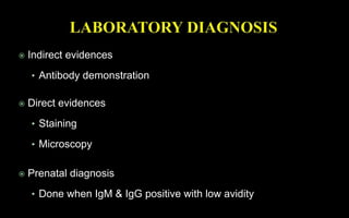  Indirect evidences
• Antibody demonstration
 Direct evidences
• Staining
• Microscopy
 Prenatal diagnosis
• Done when IgM & IgG positive with low avidity
 