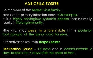 •A member of the herpes virus family.
•The acute primary infection cause Chickenpox.
It is a highly contagious systemic disease that normally
results in lifelong immunity.
•The virus may persist in a latent state in the posterior
root ganglia of the spinal cord for year.
• Reactivation results in Herpes Zoster.
•Incubation Period – 15 days and is communicable 2
days before and 5 days after the onset of rash.
 