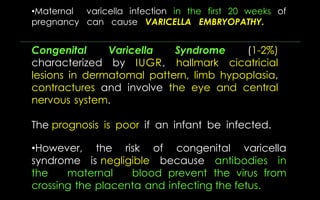 •Maternal varicella infection in
pregnancy can cause VARICELLA
the first 20 weeks of
EMBRYOPATHY.
Congenital Varicella Syndrome (1-2%)
characterized by IUGR, hallmark cicatricial
lesions in dermatomal pattern, limb hypoplasia,
contractures and involve the eye and central
nervous system.
The prognosis is poor if an infant be infected.
•However, the risk of congenital varicella
syndrome is negligible because antibodies in
the maternal blood prevent the virus from
crossing the placenta and infecting the fetus.
 