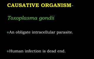 An obligate intracellular parasite.
Human infection is dead end.
 
