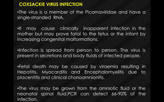 COXSACKIE VIRUS INFECTION
•The virus is a member of the Picornaviridae and have a
single-stranded RNA.
•It may cause clinically inapparent infection in the
mother but may prove fatal to the fetus or the infant by
increasing congenital malformations.
•Infection is spread from person to person. The virus is
present in secretions and body fluids of infected people.
•Fetal death may be caused by viraemia resulting in
Hepatitis, Myocarditis and Encephalomyelitis due to
placentitis and clinical chorioamnionitis.
•The virus may be grown from the amniotic fluid or the
neonatal spinal fluid.PCR can detect 66-90% of the
infection.
 