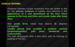 CLINICAL FEATURES :
•German measles causes symptoms that are similar to the
flu. The primary symptom of rubella virus infection is the
appearance of a rash (exanthem) on the face which
spreads to the trunk and limbs and usually fades after three
days.
•low grade fever, rarely rises above 38 degrees
centigrade.
swollen glands (sub occipital & posterior cervical
lymphadenopathy), joint pains, headache and
conjunctivitis.
The rash disappears after a few days with no staining or
peeling of the skin.
 