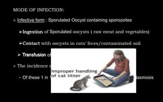MODE OF INFECTION:
 Infective form : Sporulated Oocyst containing sporozoites
• Ingestion of Sporulated oocysts ( raw meat and vegetables)
• Contact with oocysts in cats’ feces/contaminated soil
• Transfusion of infected blood
 The incidence during pregnancy ranges from 0.3-1 %
• Of these 1 in 10 will deliver a baby with congenital Toxoplasmosis
Ingestion
Contact
 Transfusion
 