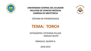 UNIVERSIDAD CENTRAL DEL ECUADOR
FACULTAD DE CIENCIAS MEDICAS
CARRERA DE OBSTETRICIA
CÁTEDRA DE PERINATOLOGIA
TEMA: TORCH
ESTUDIANTES: ESTEFANIA PILLAJO
MAGALY QUITO
PARALELO: QUINTO A
2018-2019
 