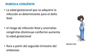 • La edad gestacional que se adquiere la
infección es determinante para el daño
fetal
• el riesgo de infección fetal y anomalías
congénitas disminuye conforme aumenta
la edad gestacional
• Rara a partir del segundo trimestre del
embarazo
RUBEOLA CONGÉNITA
 